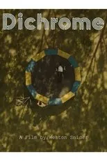 Póster de Dichrome