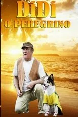Póster de Didi, o Peregrino