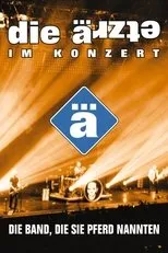 Póster de Die Ärzte: Die Band, die sie Pferd nannten