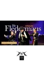 Póster de Die Fledermaus - CNT