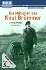 Póster de Die Millionen des Knut Brümmer