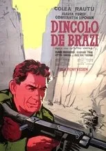 Póster de Dincolo de brazi