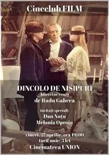 Póster de Dincolo de nisipuri