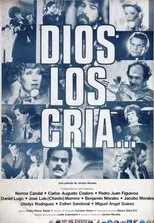 Póster de Dios los cría