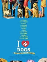 Póster de Dog Days
