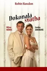 Póster de Dokonalá svatba