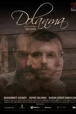 Póster de Dolanma