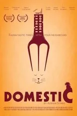 Póster de Domestic