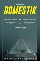Póster de Domestik