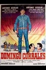 Póster de Domingo Corrales