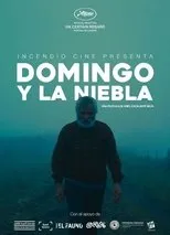 Póster de Domingo y la niebla
