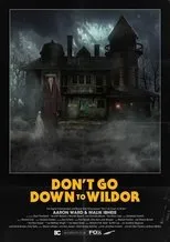 Póster de Don’t Go Down to Wildor