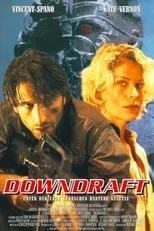 Póster de Downdraft