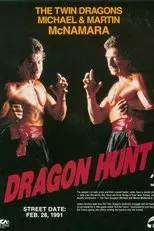 Póster de Dragon Hunt
