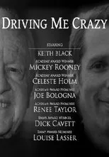 Póster de Driving Me Crazy