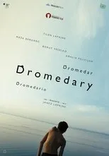 Póster de Dromedar