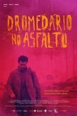 Póster de Dromedário no Asfalto