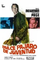 Póster de Dulce pájaro de juventud