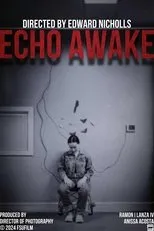 Póster de Echo Awake
