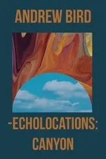 Póster de Echolocations: Canyon