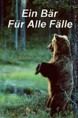 Póster de Ein Bär für alle Fälle
