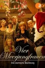 Póster de Eine stürmische Bescherung