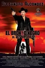 Póster de El bronko negro