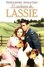 Póster de El cachorro de Lassie