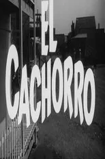 Póster de El cachorro