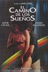 Póster de El camino de los sueños