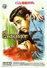 Póster de El castigador