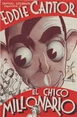 Póster de El chico millonario