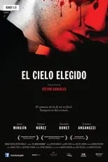 Póster de El cielo elegido