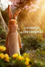 Póster de El conejo de terciopelo
