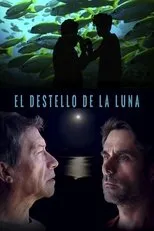 Póster de El destello de la luna