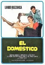Póster de El doméstico