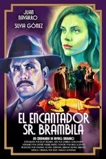 Póster de El encantador señor Brambila