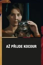 Póster de El gato de Cassandra