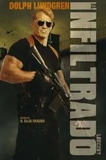 Póster de El infiltrado (Larceny)