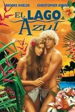 Póster de El lago azul