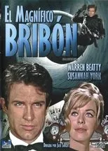 Póster de El magnífico bribón