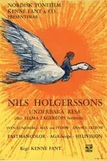 Póster de El maravilloso viaje de Nils Holgersson