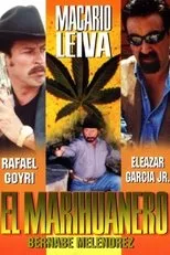 Póster de El marihuanero