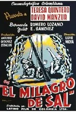 Póster de El milagro de sal