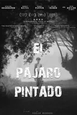 Póster de El pájaro pintado