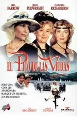 Póster de El pico de las viudas