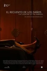 Póster de El recuento de los daños