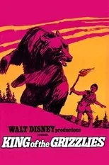 Póster de El rey de los osos
