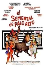 Póster de El semental de Palo Alto