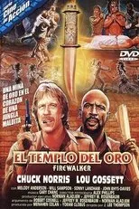 Póster de El templo del oro